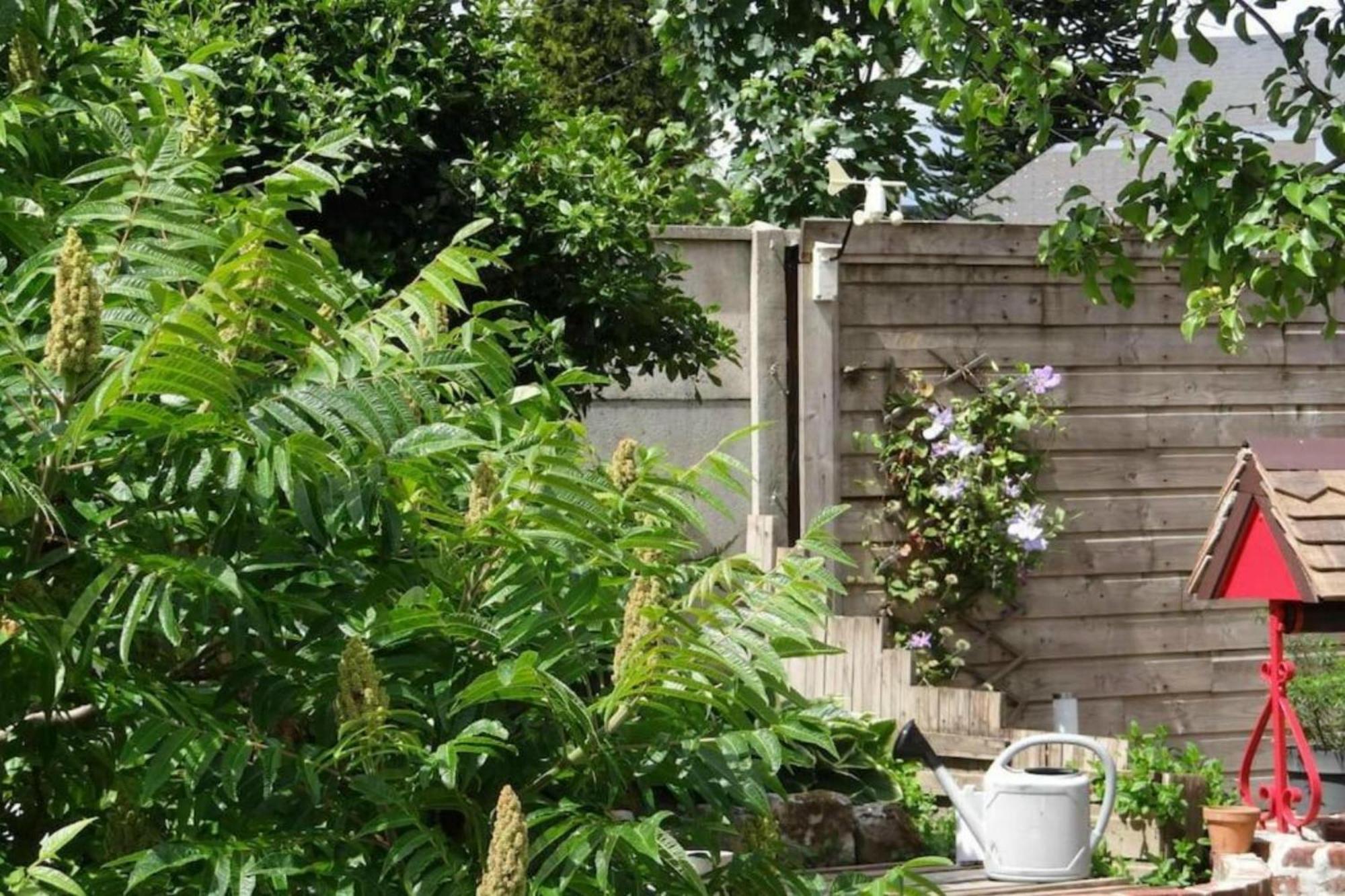 Clos Des Paquerettes : Maison Avec Jardin Privatif Yvetot Zewnętrze zdjęcie